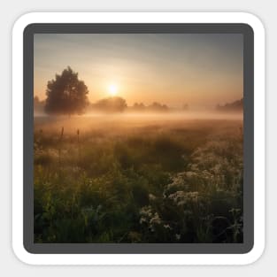 Sunrise over a green meadow fog rises in the summer Sticker